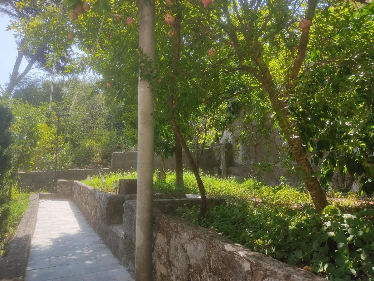 Apartman Arbanas Dubrovnik Exterior photo